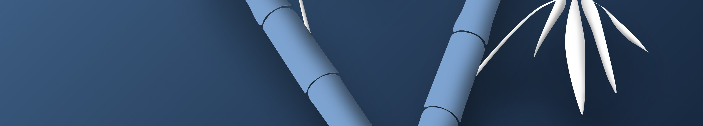 Bamboo viscose CetexRheinfaser GmbH